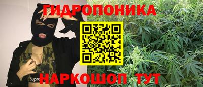 гидропоника Ливны