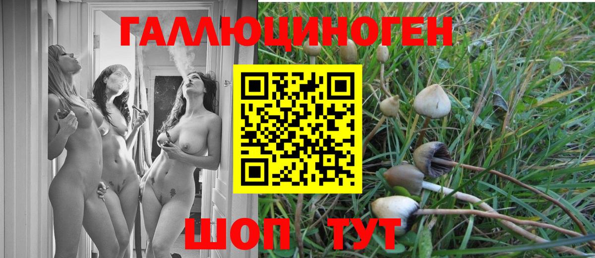 Псилоцибиновые грибы мухоморы  как найти наркотики  Вольск  Вход с VPN 